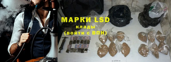 гашик Верея