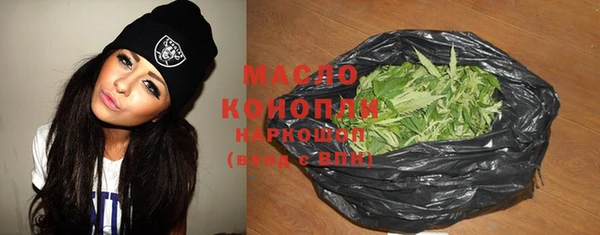 гашик Верея
