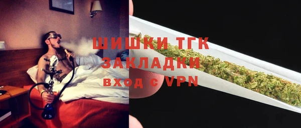 гашик Верея