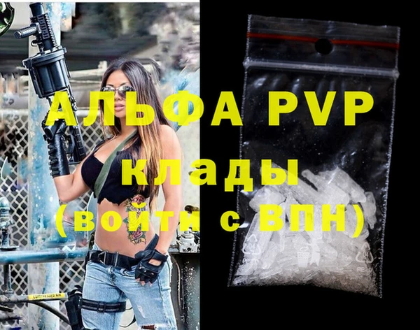 гашик Верея
