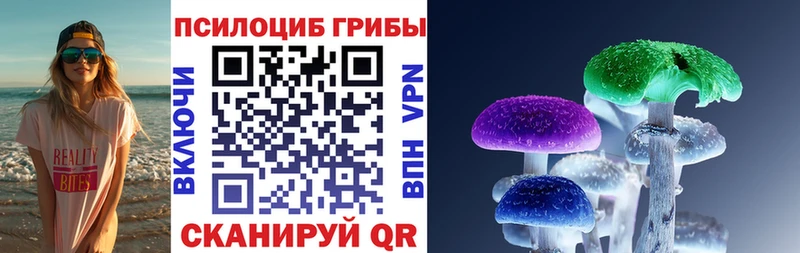 Псилоцибиновые грибы Psilocybine cubensis  Купить где  Михайловск 